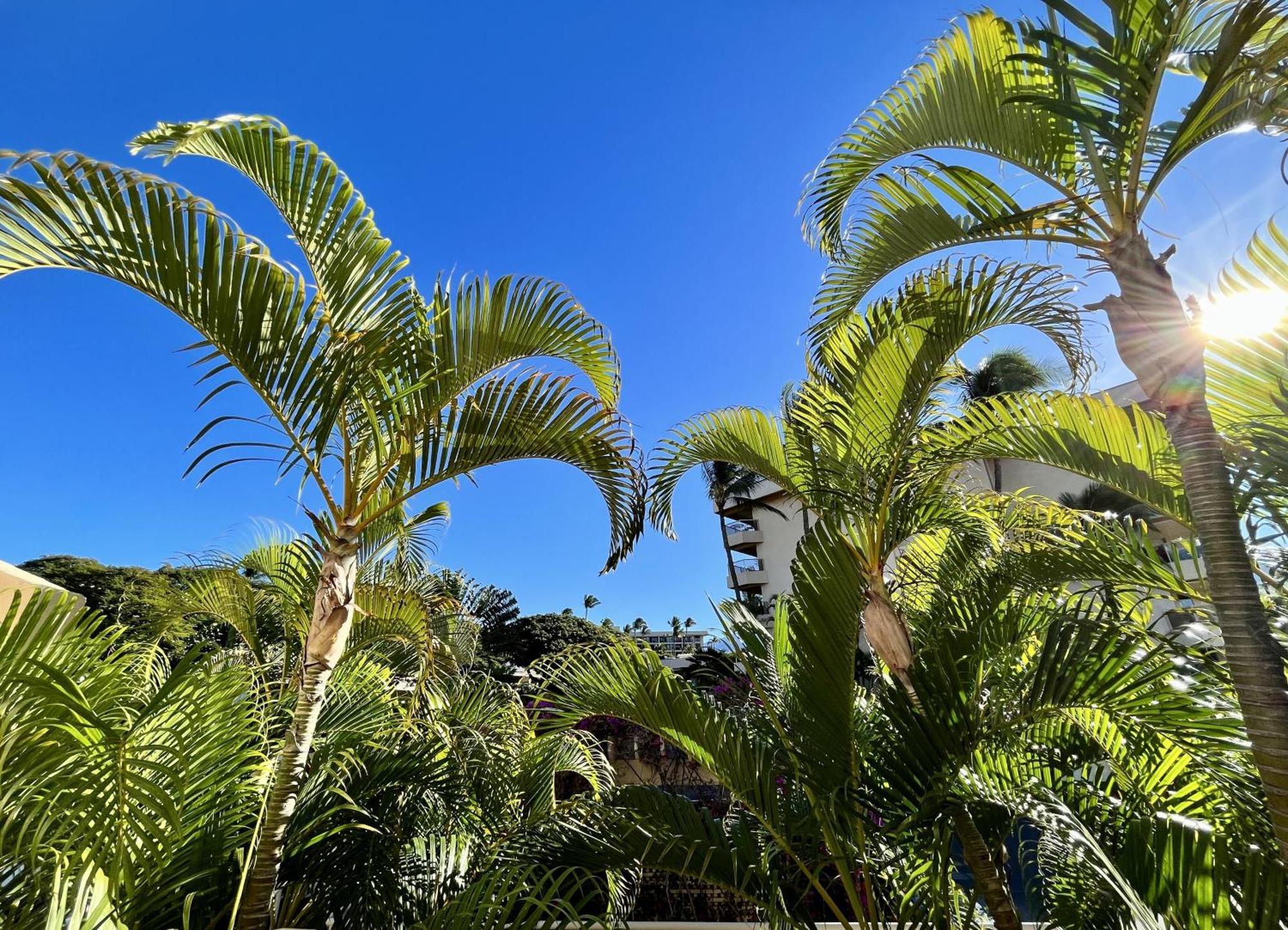 Willa Maui Banyan Wailea  Pokój zdjęcie