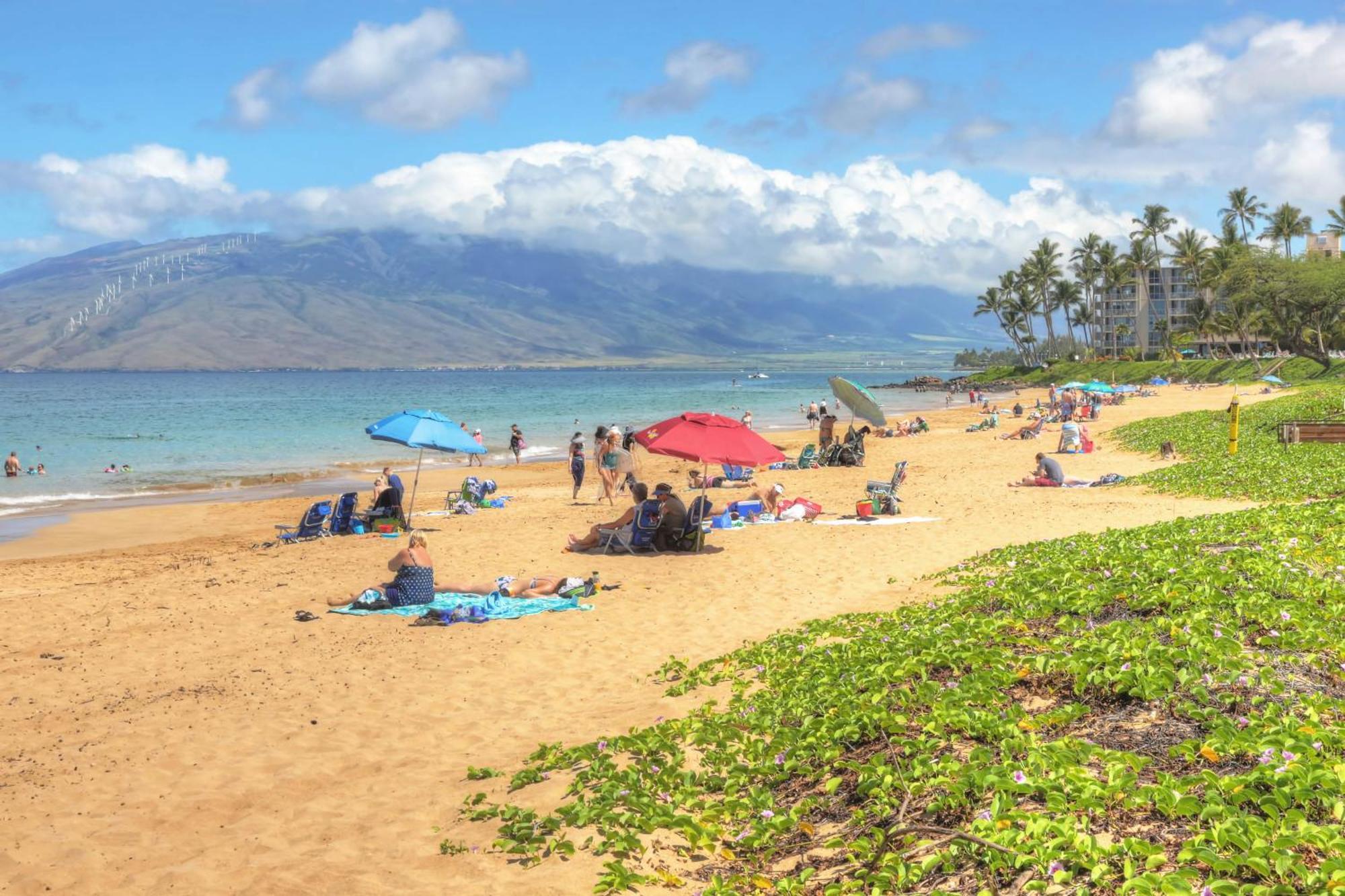 Willa Maui Banyan Wailea  Pokój zdjęcie