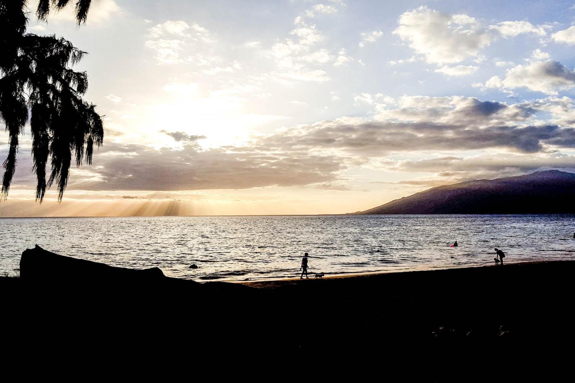 Willa Maui Banyan Wailea  Pokój zdjęcie